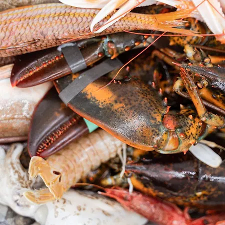 Bed & Breakfast Locanda Trani Bed & Breakfast Trani